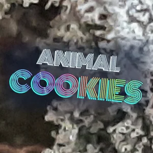 Animal Cookies Cannabis Strain