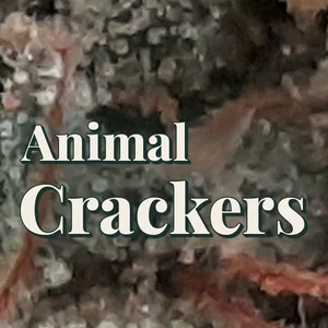 Animal Crackers Cannabis Strain