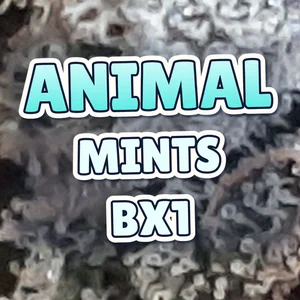 Animal Mints BX1 Cannabis Strain