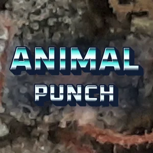 Animal Punch Cannabis Strain