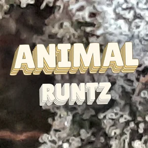 Animal Runtz Cannabis Strain