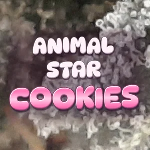 Animal Star Cookies Cannabis Strain