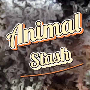 Animal Stash Cannabis Strain