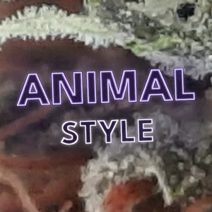 Animal Style Cannabis Strain