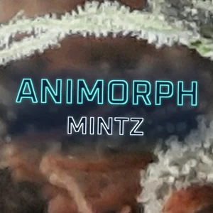 Animorph Mintz Cannabis Strain