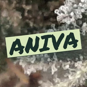 Aniva Cannabis Strain