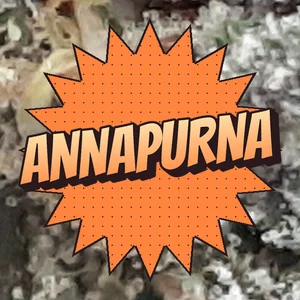 Annapurna Cannabis Strain