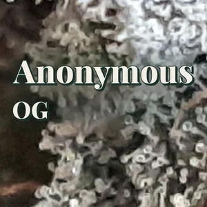 Anonymous OG Cannabis Strain
