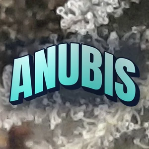 Anubis Cannabis Strain