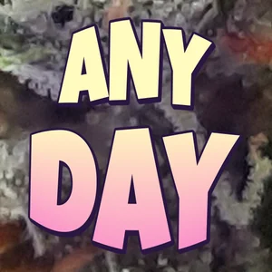 Any Day Cannabis Strain