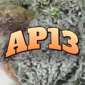 AP13 Cannabis Strain