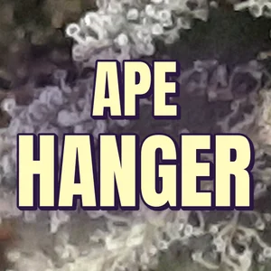Ape Hanger Cannabis Strain