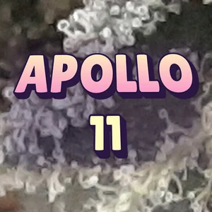 Apollo 11 Cannabis Strain