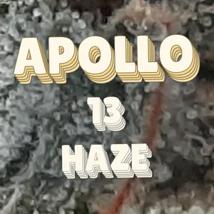 Apollo 13 Haze Cannabis Strain