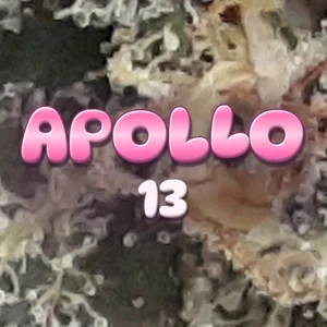 Apollo 13 Cannabis Strain