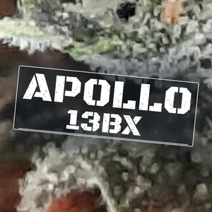 Apollo 13BX Cannabis Strain