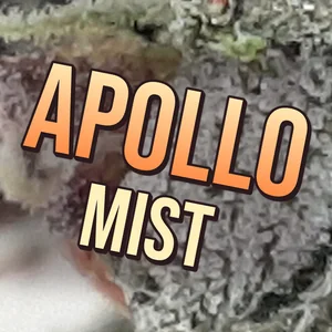Apollo Mist Cannabis Strain