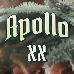 Apollo XX Cannabis Strain