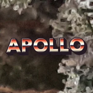 Apollo Cannabis Strain