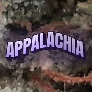 Appalachia Cannabis Strain
