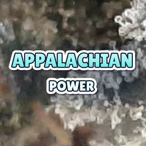 Appalachian Power Cannabis Strain