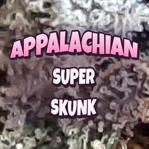 Appalachian Super Skunk Cannabis Strain