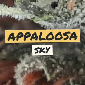Appaloosa Sky Cannabis Strain