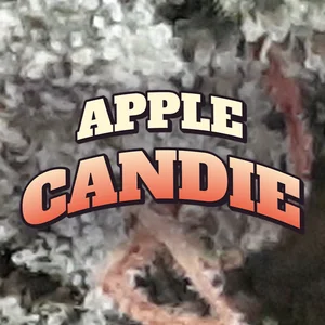 Apple Candie Cannabis Strain