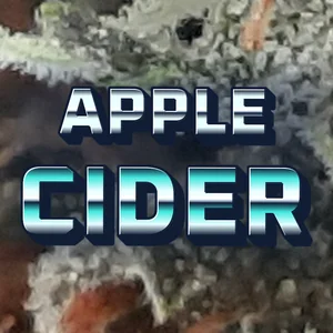 Apple Cider Cannabis Strain