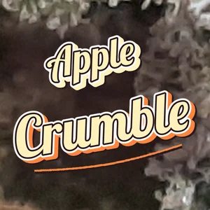 Apple Crumble Cannabis Strain