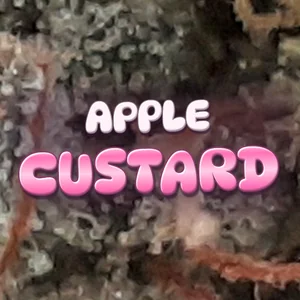 Apple Custard Cannabis Strain