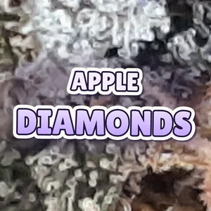 Apple Diamonds Cannabis Strain
