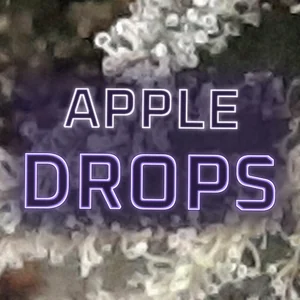 Apple Drops Cannabis Strain