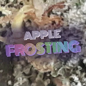Apple Frosting Cannabis Strain