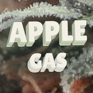 Apple Gas Cannabis Strain