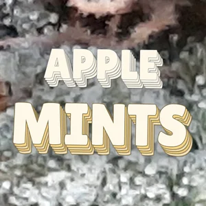 Apple Mints Cannabis Strain