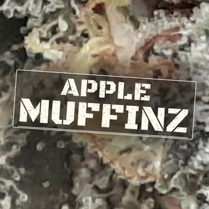 Apple Muffinz Cannabis Strain