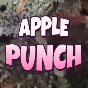Apple Punch Cannabis Strain