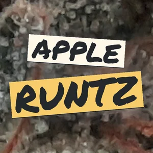 Apple Runtz Cannabis Strain