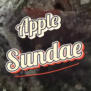 Apple Sundae Cannabis Strain