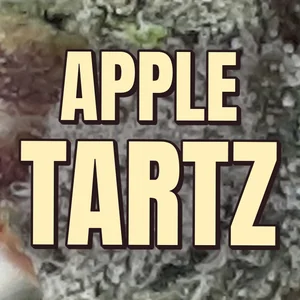 Apple Tartz Cannabis Strain