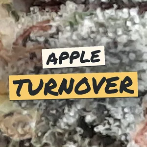 Apple Turnover Cannabis Strain
