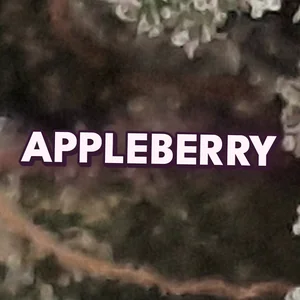 Appleberry Cannabis Strain