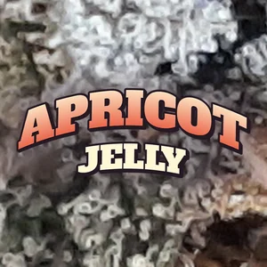 Apricot Jelly Cannabis Strain