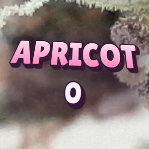 Apricot O Cannabis Strain