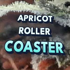 Apricot Roller Coaster Cannabis Strain