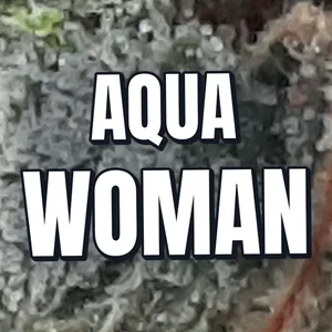 Aqua Woman Cannabis Strain