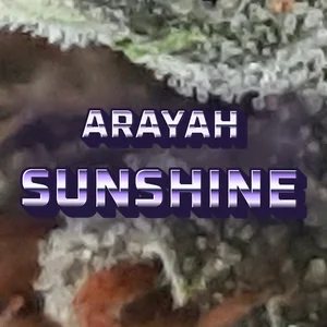 Arayah Sunshine Cannabis Strain