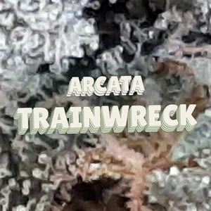 Arcata Trainwreck Cannabis Strain
