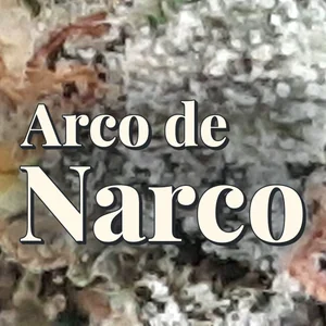 Arco de Narco Cannabis Strain